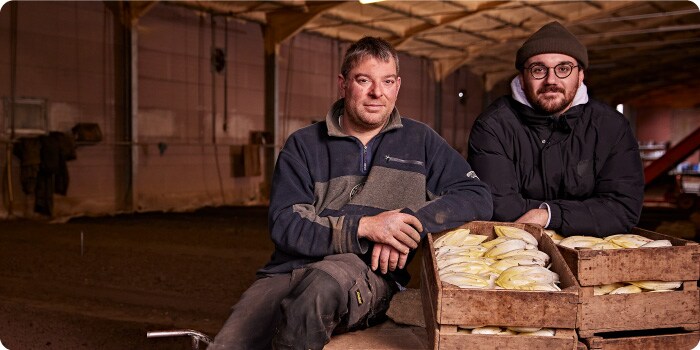 Witloof uit volle grond van boer Dirk