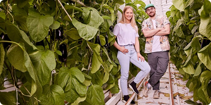 Aubergines de la famille Van Nuffelen